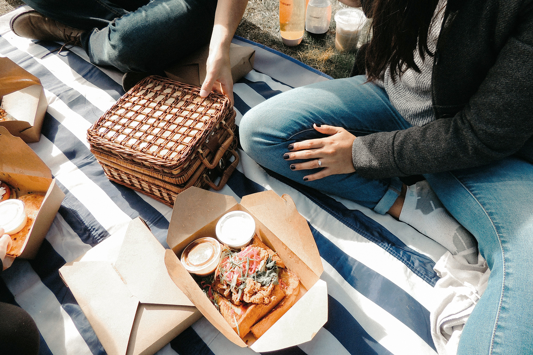 picnic valentines day